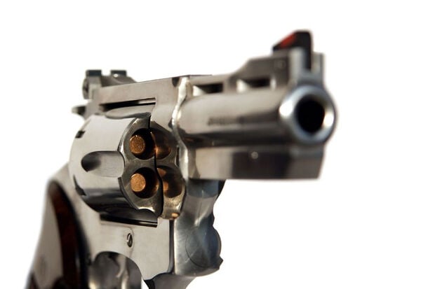 Gun